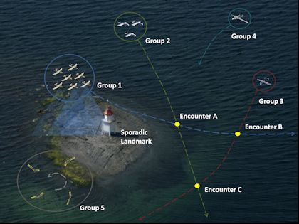 Diagram showing a lighthouse and multiple groups of aircraft over the water with paths showing where these groups will encounter each other.