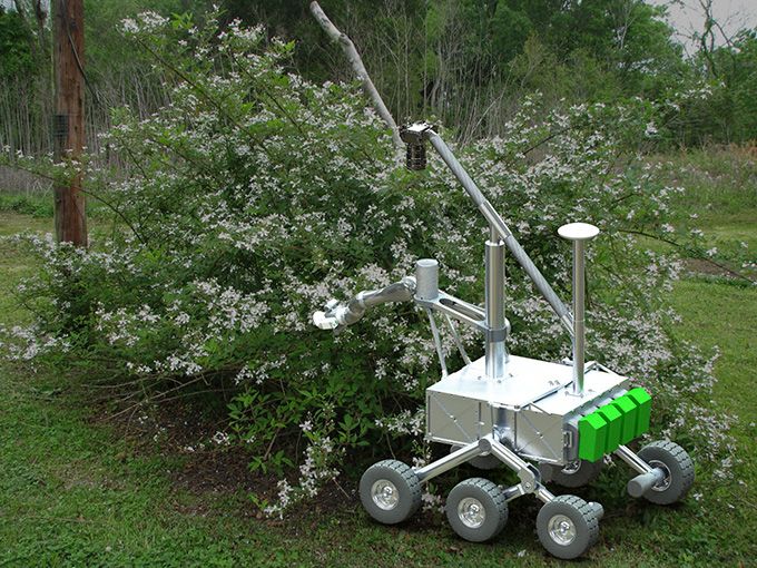  Cataglyphis, award winning Mars sample robot, pollinating a bush.